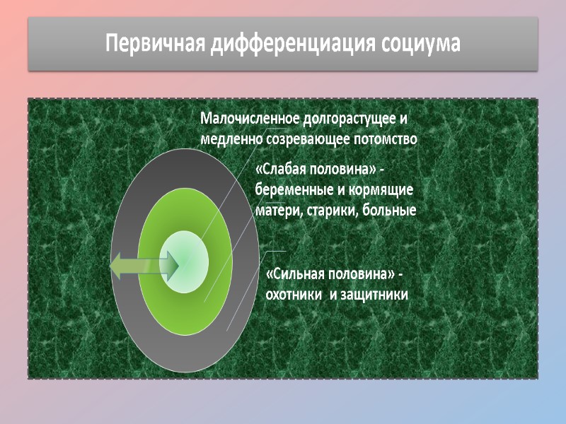 Первичная дифференциация социума